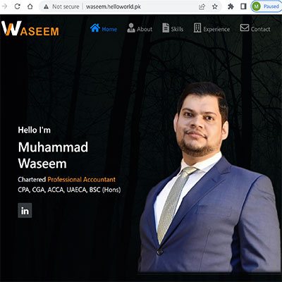 Muhammad Waseem Nawaz | Chartered Professional Accountant